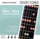 Learning Systems for guitar