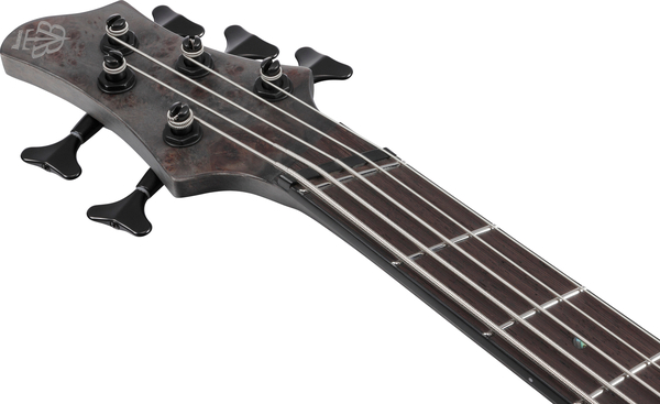 Ibanez BTB805MS (transparent gray flat)
