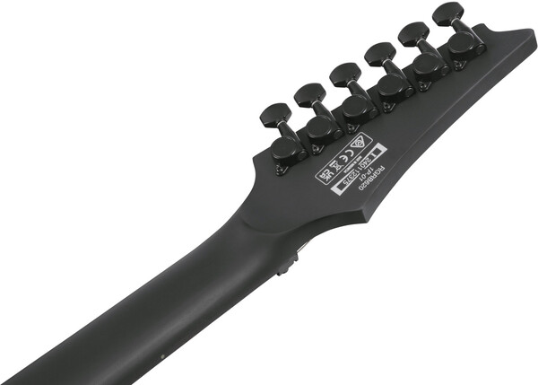Ibanez RGRB620-BKF (Black Flat)