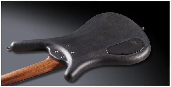 Warwick Corvette Ash 4 (Nirvana Black Transparent Satin)
