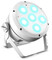 Cameo Root Par 6 (white)