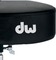 DW 3100
