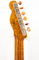 Fender Artisan Buckeye Burl Double Esquire