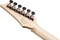 Ibanez RG652AHMFX-RPB (royal plum burst, incl. case)