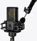 LEWITT LCT 240 Pro Vocal Set (black)
