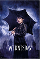 Erik Wednesday Umbrella Poster